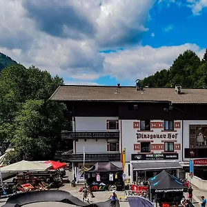 3* Hotel Pinzgauerhof By Skinetworks
